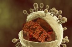 Лікування цитомегаловірусної інфекції у жінок: як лікувати цитомегаловірус?