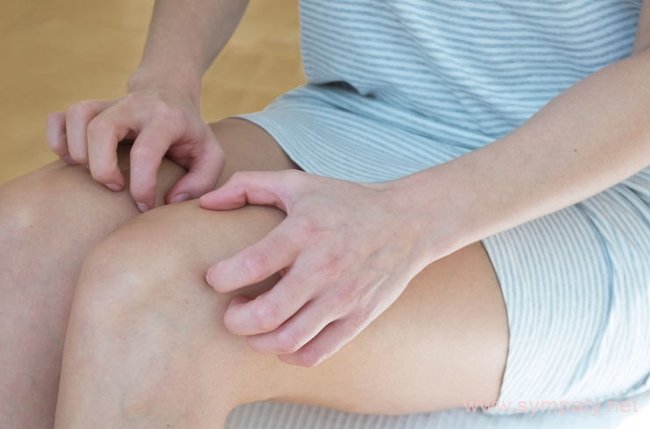 f83161d3ea6dc586b2435b07afff9d92