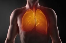Легені людини: малюнок, де знаходяться, хто перевіряє? Будова легень людини, хвороби