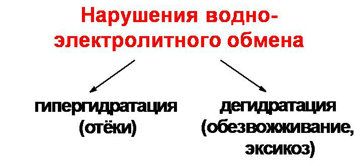0c1ee46d2091a19c91018582f5b8a414