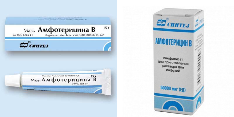 Для лечения рта мази. Противогрибковые препараты Амфотерицин. Амфотерицин б. Амфотерицин б капли для глаз. Амфотерицин мазь глазная.