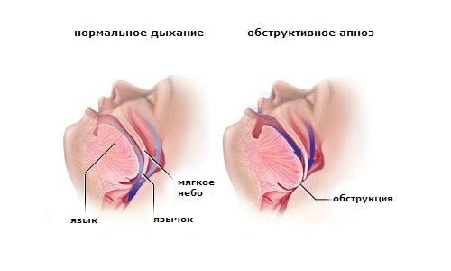 8c0459d03ff068a5f69fba9871976086