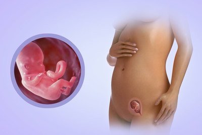 Позаматкова вагітність по тижнях: до якого строку може розвиватися, ознаки і симптоми патологічного стану на 4, 5, 6, 7 і 10 11 тижнях