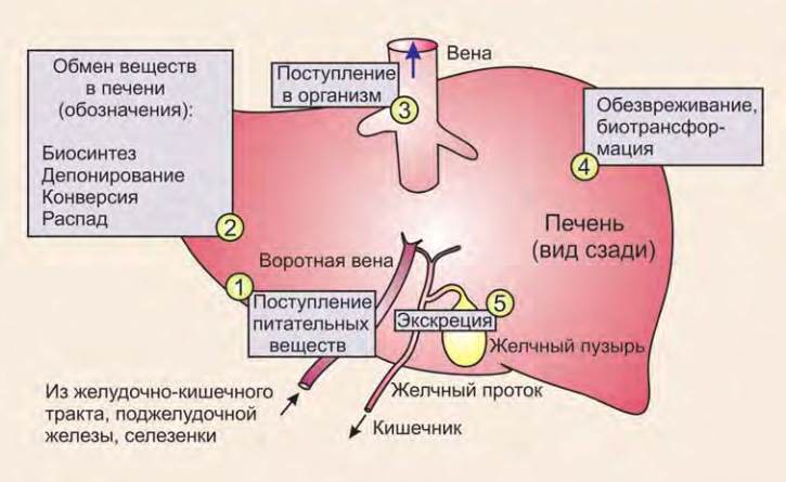 b57a0992a8e45716be2d87e127a05e28