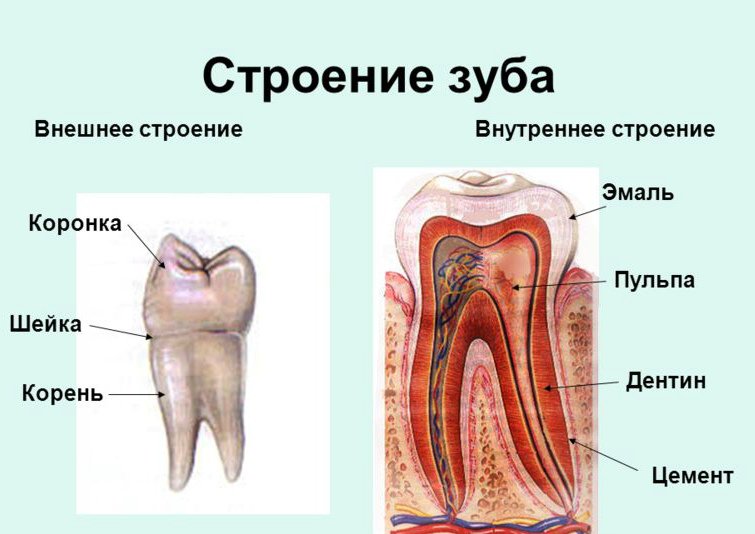 d1b985f8de59264ffa5001f97f70e3b6