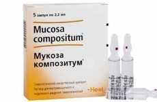 Мукоза Композитум — гомеопатичні ліки з широким спектром дії