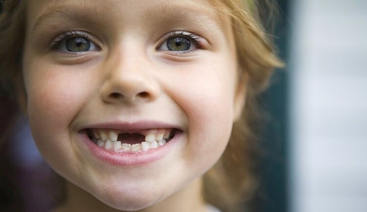 Скільки зубів у людини: кількість і назви зубів у дорослого і дитини