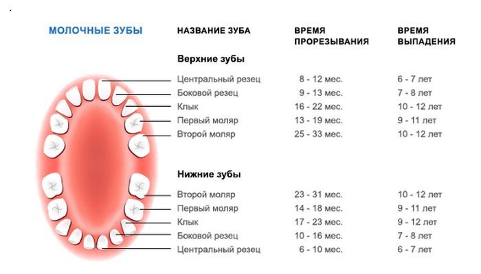 Прорізування зубів у дітей: порядок, строки і симптоми