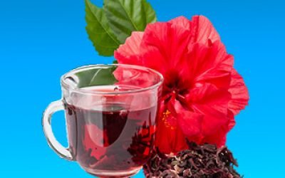 Підвищують або знижують тиск Каркаде, Іван-чай: фіточай для лікування гіпертонії