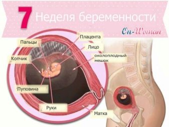 f76a45d84f8603da8a9a2874a7a40784