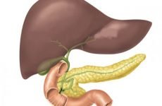 Дифузні зміни паренхіми печінки і підшлункової залози: лікування, ознаки