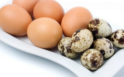Яйця для шлунка: користь, шкоду, як вживати