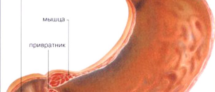 2a289580a845fa6a8f4f31a04bf28094