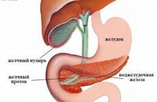 Жовч в шлунку: причини і лікування викиду, симптоми, як позбавитися від рефлюксу