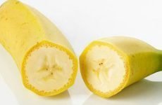 Скільки перетравлюється банан в шлунку і які в нього корисні властивості?