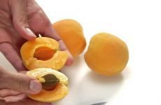 Користь абрикоса для здоров’я людини