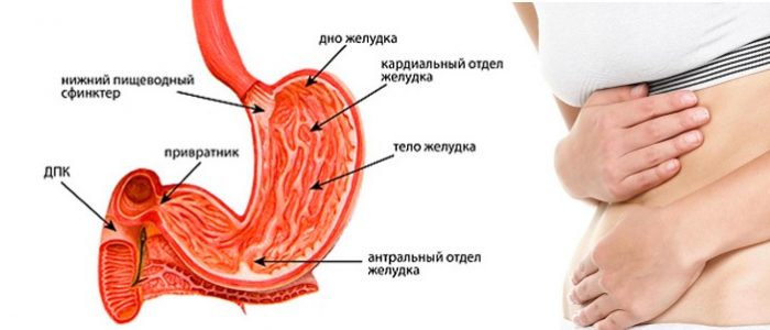 bd3ec6c74d39069663e410f3a30a7698