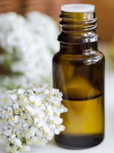 c1099e1838d6832d7f366d51680431bb