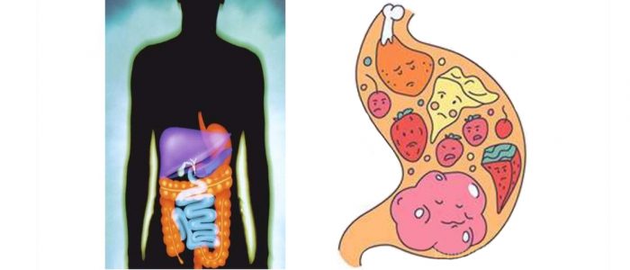 cc3ea974a0af2ac730222546434c62a1