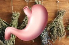 Ерозія шлунка: лікування народними засобами, рецепти
