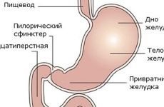 Кардія шлунка: лікування, симптоми, причини недостатності