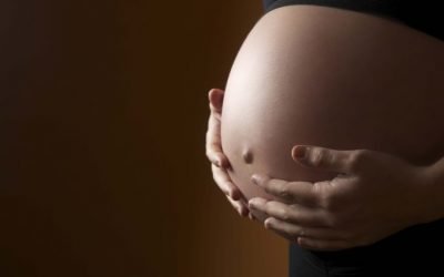 Що робить дитина в животі (в утробі) у мами під час вагітності? Етапи розвитку плода