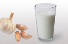 Молоко з часником: користь і шкода для здоров’я