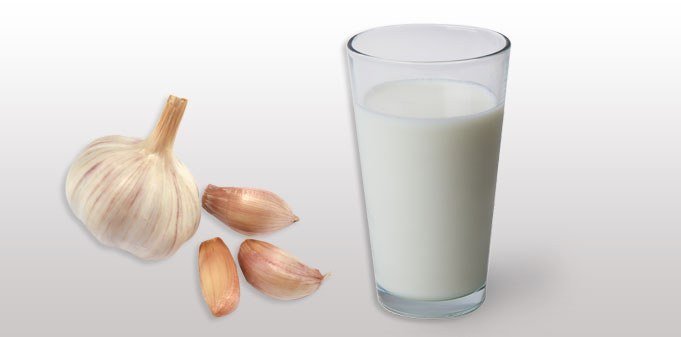 Молоко з часником: користь і шкода для здоровя
