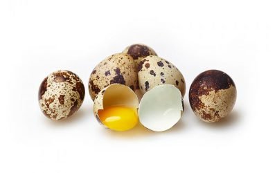 Користь перепелиних яєць при лікуванні шлунка гастриті