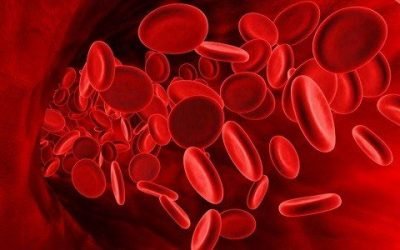 Які ліки та продукти розріджують кров людини