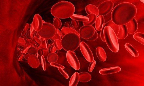 Какие лекарства и продукты разжижают кровь человека
