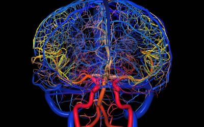 Судини головного мозку — симптоми і лікування, які бувають захворювання мозку
