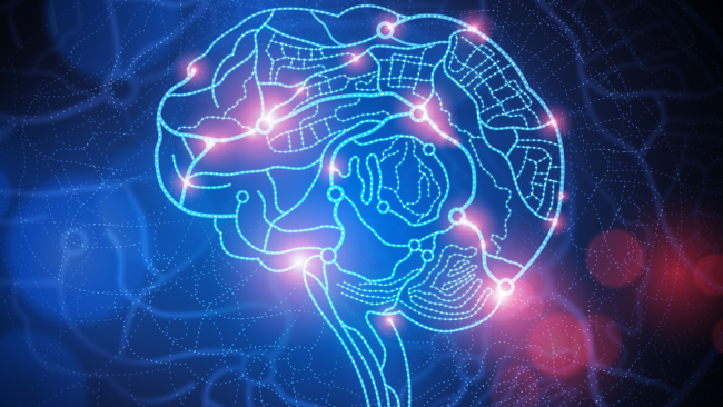Смерть мозга — какие причины и критерии, возможно ли восстановление после смерти мозга?