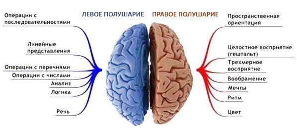 Инсульт головного мозга — какие последствия и прогноз жизни