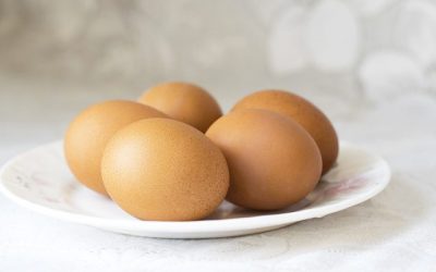 Можна їсти яйця при виразці шлунка і в якому вигляді?