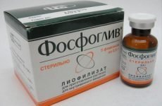 Таблетки Фосфоглив для печінки: склад, інструкція по застосуванню, ціна, відгуки людей, аналоги