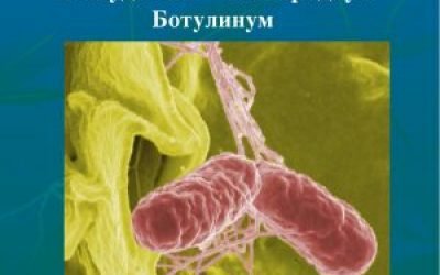 Клініка ботулізму — мікробіологія і патогенез, класифікація, етіологія та епідеміологія, лікування захворювання