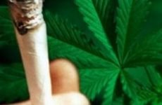 Куріння трави — наслідки вживання марихуани і чи можна померти від передозування каннабісом