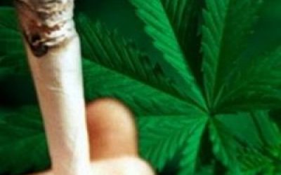 Куріння трави — наслідки вживання марихуани і чи можна померти від передозування каннабісом