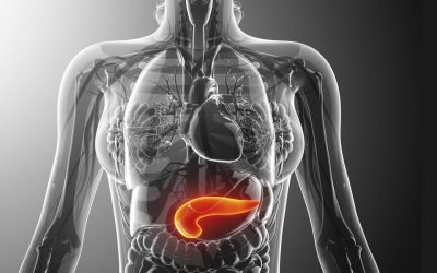 Стеатоз підшлункової залози: причини, наслідки, лікування