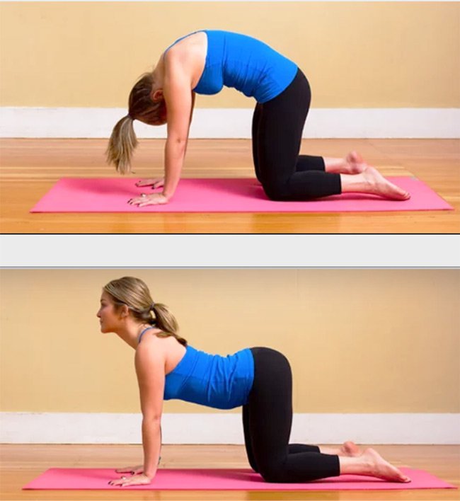 Упражнения для гибкости спины и позвоночника
