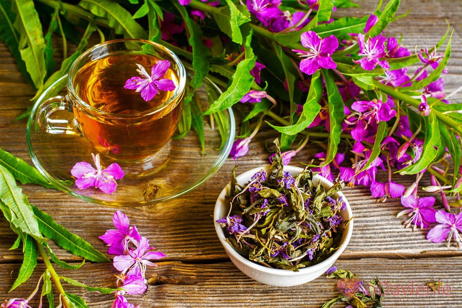 Іван чай   квітка: корисні властивості і протипоказання